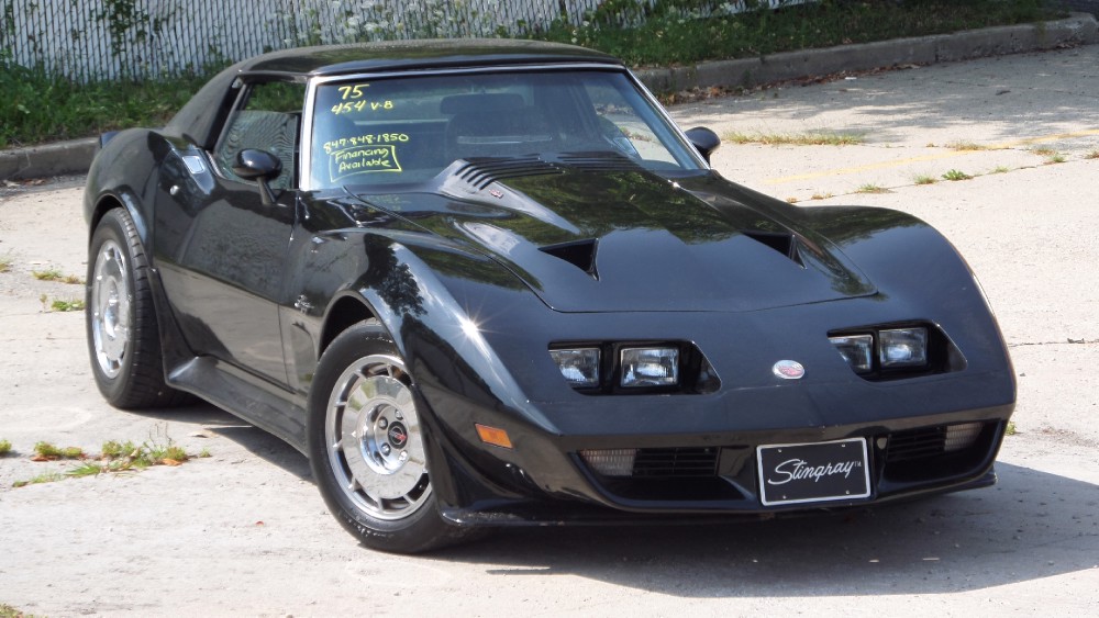 Used 1975 Chevrolet Corvette CUSTOM 454 STINGRAY-BLACK ON BLACK-SEE VIDEO | Mundelein, IL
