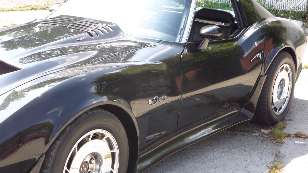 Used 1975 Chevrolet Corvette CUSTOM 454 STINGRAY-BLACK ON BLACK-SEE VIDEO | Mundelein, IL