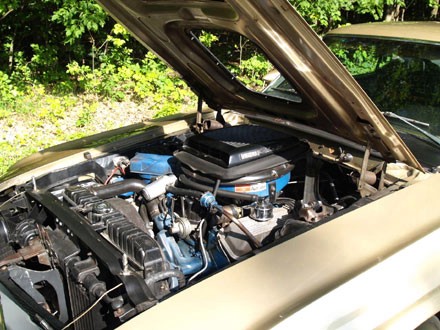 Used 1969 Ford Mustang 1 of 1 BUILT-428 SCJ-RARE IS NOT THE WORD | Mundelein, IL