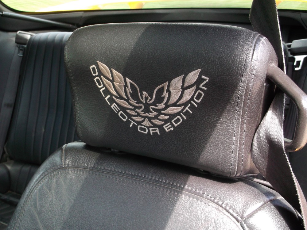 Used 2002 Pontiac Trans Am WS6 RARE-FREE SHIPPING | Mundelein, IL