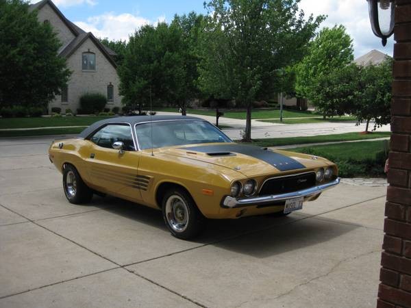Used 1973 Dodge Challenger NUMBERS MATCHING WITH FENDER TAG-FREE SHIPPING | Mundelein, IL