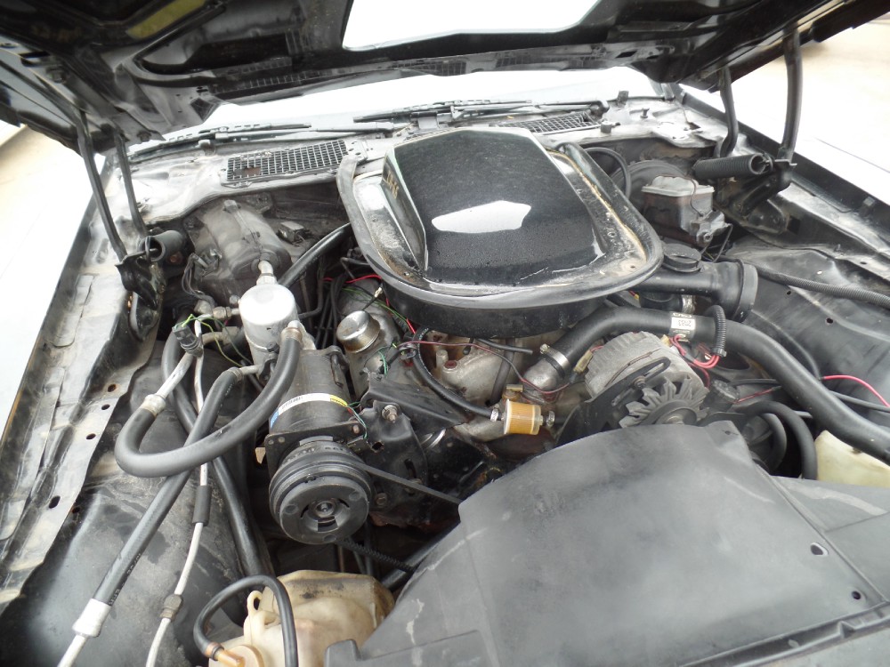 Used 1978 Pontiac Trans Am SMOKEY & THE BANDIT L@@K | Mundelein, IL