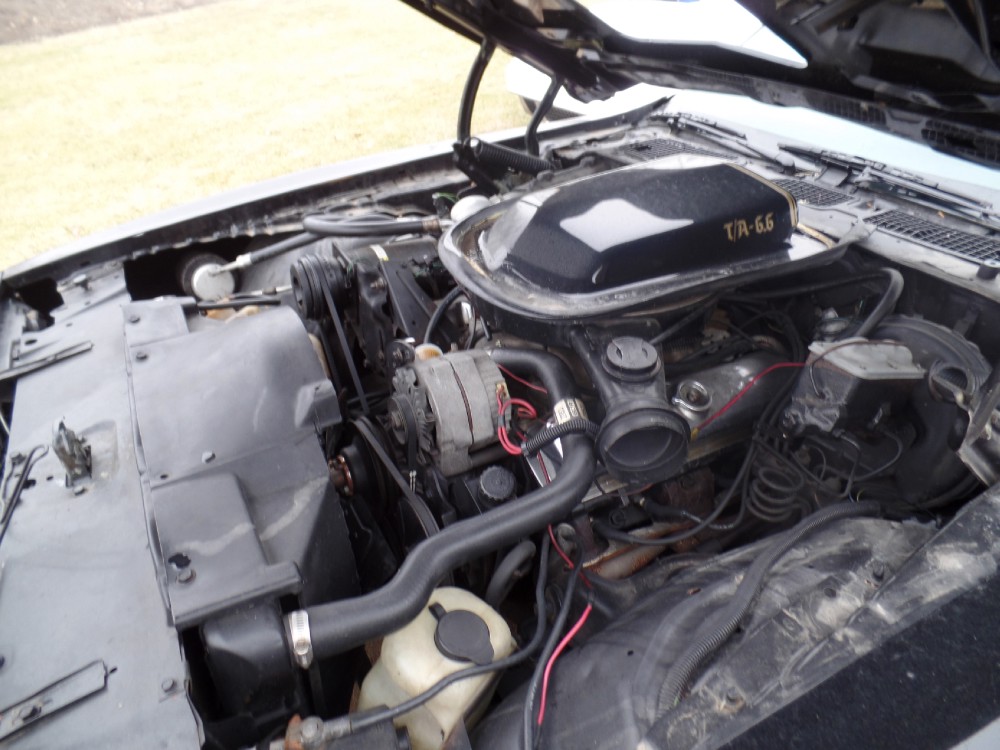 Used 1978 Pontiac Trans Am SMOKEY & THE BANDIT L@@K | Mundelein, IL
