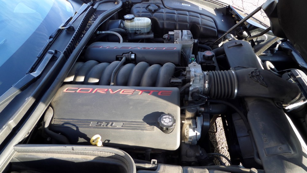 Used 1999 Chevrolet Corvette C5-1 OWNER-ONLY 49,920 MILES | Mundelein, IL