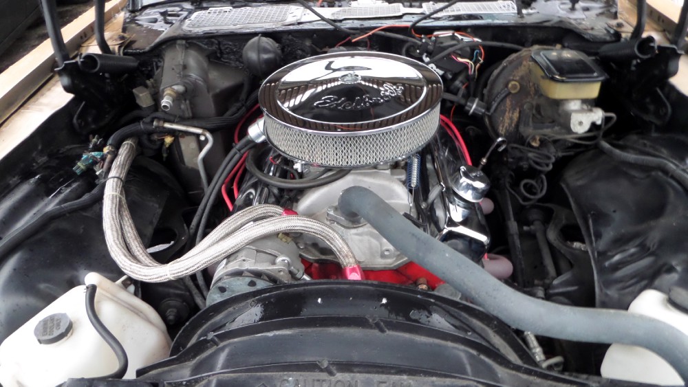 Used 1981 Chevrolet Camaro REAL Z28-VERY CLEAN FROM NORTH CAROLINA | Mundelein, IL