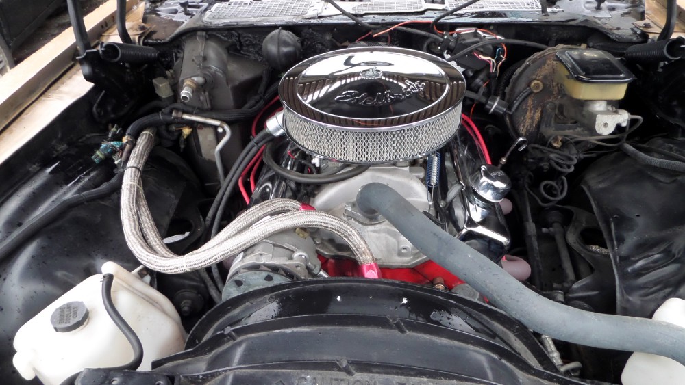 Used 1981 Chevrolet Camaro REAL Z28-VERY CLEAN FROM NORTH CAROLINA | Mundelein, IL