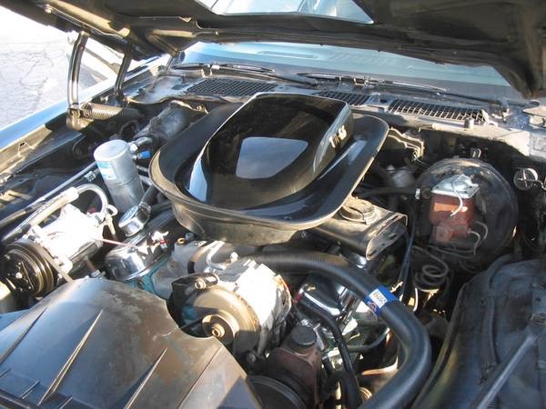 Used 1977 Pontiac Trans Am SMOKEY & THE BANDIT L@@K-FREE SHIPPING | Mundelein, IL