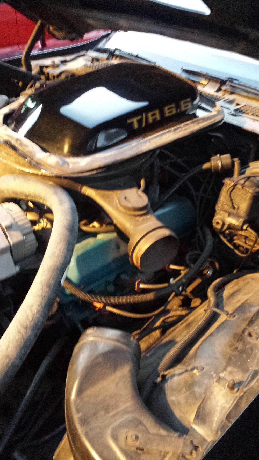Used 1979 Pontiac Trans Am BANDIT CAR-WITH T-TOPS | Mundelein, IL
