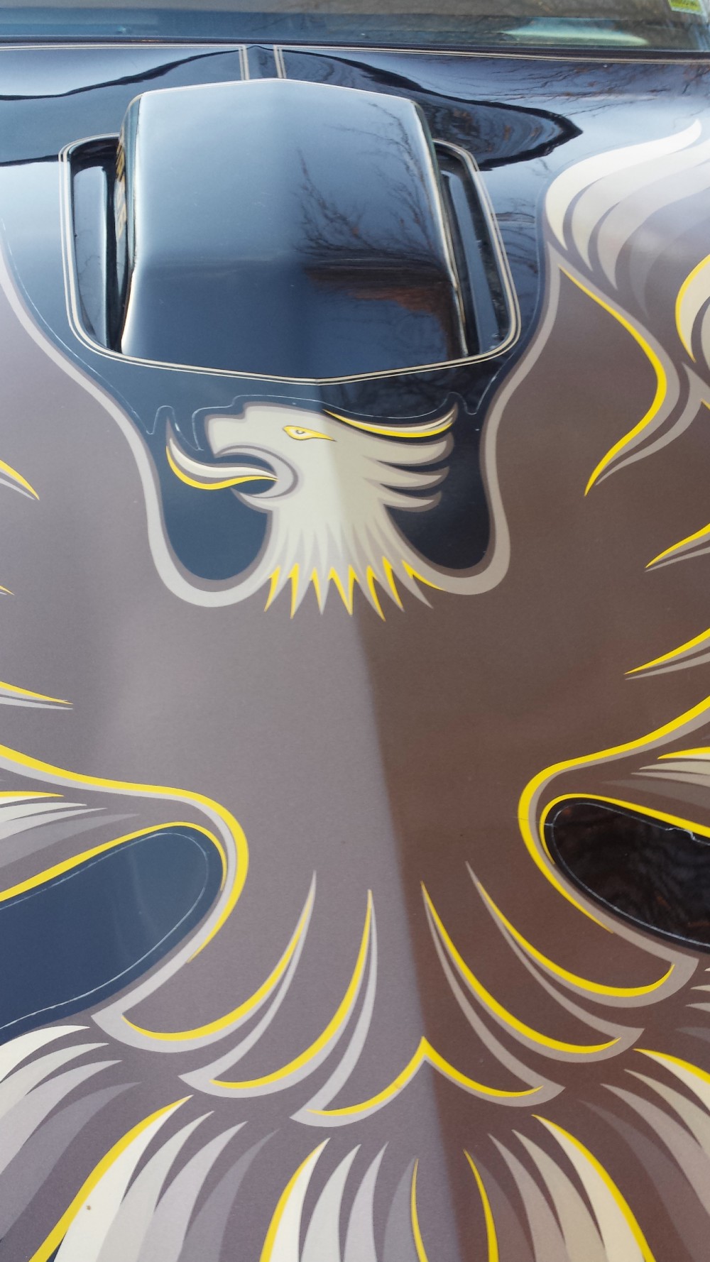 Used 1979 Pontiac Trans Am BANDIT CAR-WITH T-TOPS | Mundelein, IL