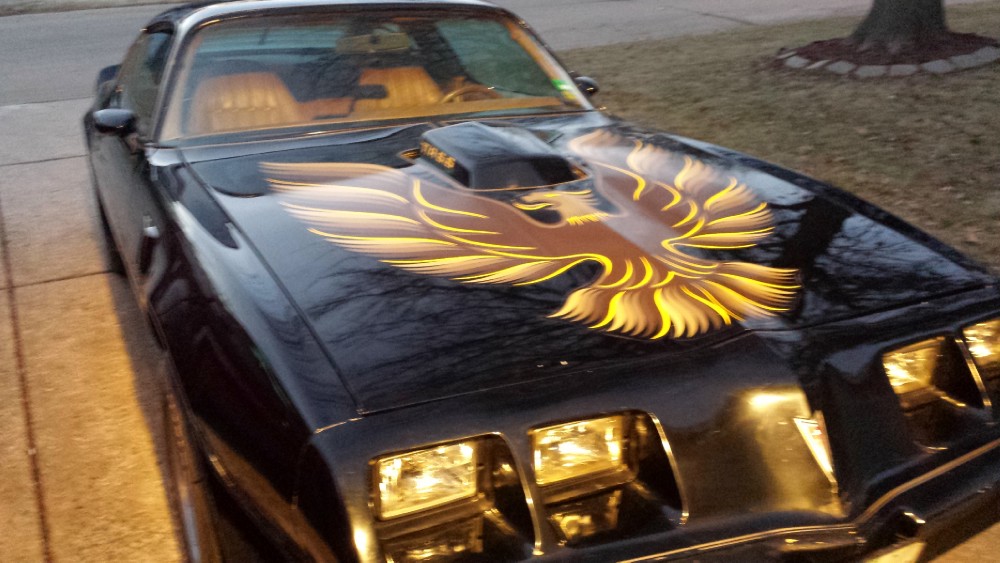 Used 1979 Pontiac Trans Am BANDIT CAR-WITH T-TOPS | Mundelein, IL