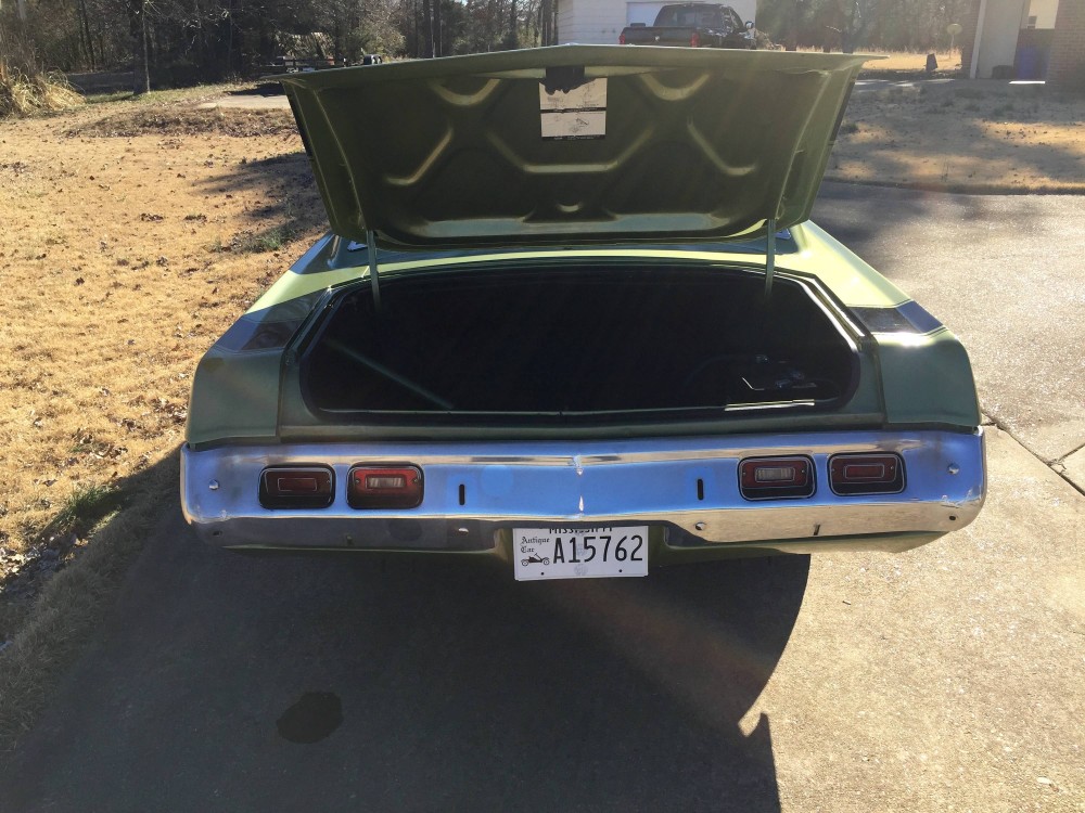 Used 1973 Dodge Dart THE GREEN MACHINE | Mundelein, IL