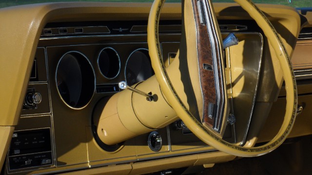 Used 1976 Ford Thunderbird NEW LOWER REDUCED PRICE | Mundelein, IL
