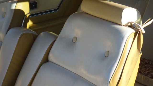 Used 1976 Ford Thunderbird NEW LOWER REDUCED PRICE | Mundelein, IL