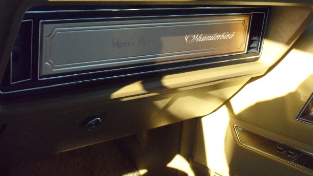 Used 1976 Ford Thunderbird NEW LOWER REDUCED PRICE | Mundelein, IL