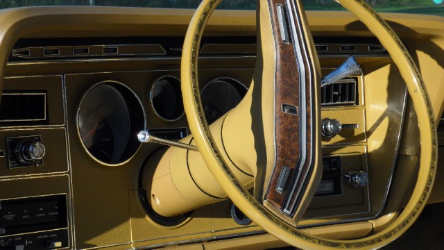 Used 1976 Ford Thunderbird NEW LOWER REDUCED PRICE | Mundelein, IL