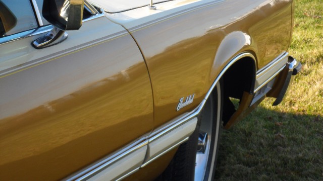 Used 1976 Ford Thunderbird NEW LOWER REDUCED PRICE | Mundelein, IL