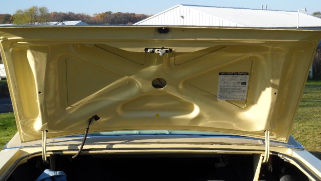 Used 1976 Ford Thunderbird NEW LOWER REDUCED PRICE | Mundelein, IL