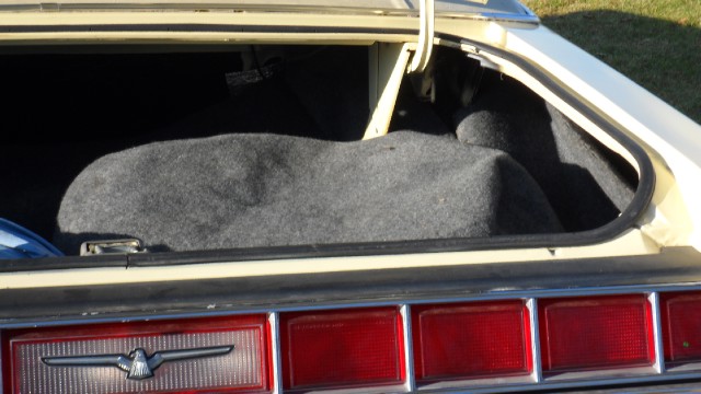 Used 1976 Ford Thunderbird NEW LOWER REDUCED PRICE | Mundelein, IL