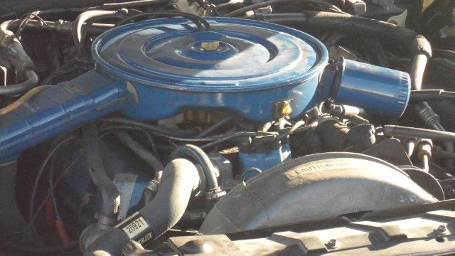Used 1976 Ford Thunderbird NEW LOWER REDUCED PRICE | Mundelein, IL