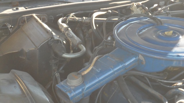 Used 1976 Ford Thunderbird NEW LOWER REDUCED PRICE | Mundelein, IL