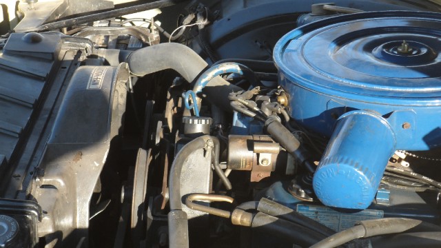 Used 1976 Ford Thunderbird NEW LOWER REDUCED PRICE | Mundelein, IL