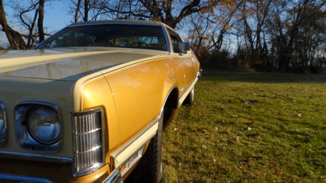 Used 1976 Ford Thunderbird NEW LOWER REDUCED PRICE | Mundelein, IL
