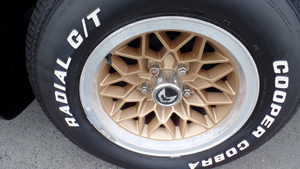 Used 1979 Pontiac Trans Am SMOKEY AND THE BANDIT L@@K-RUST FREE SOUTH CAROLINA-EASY FINANCING- | Mundelein, IL