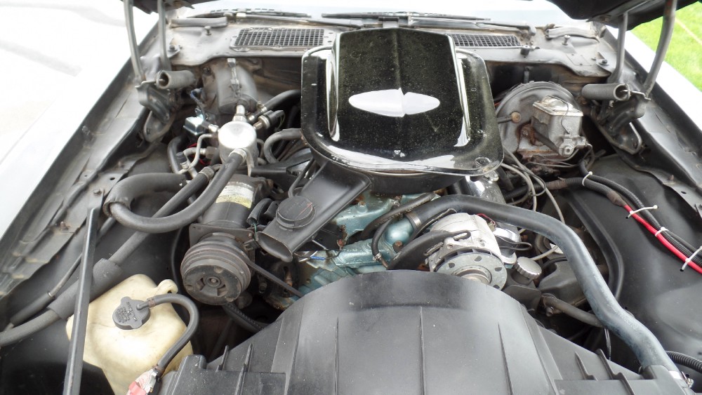 Used 1979 Pontiac Trans Am SMOKEY AND THE BANDIT L@@K-RUST FREE SOUTH CAROLINA-EASY FINANCING- | Mundelein, IL