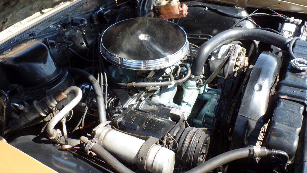 Used 1967 Pontiac Gto DOCUMENTED FROM DAY 1-ALL ORIGINAL-2 OWNER-SOUTHERN RUST FREE CAR-SEE VIDEO | Mundelein, IL