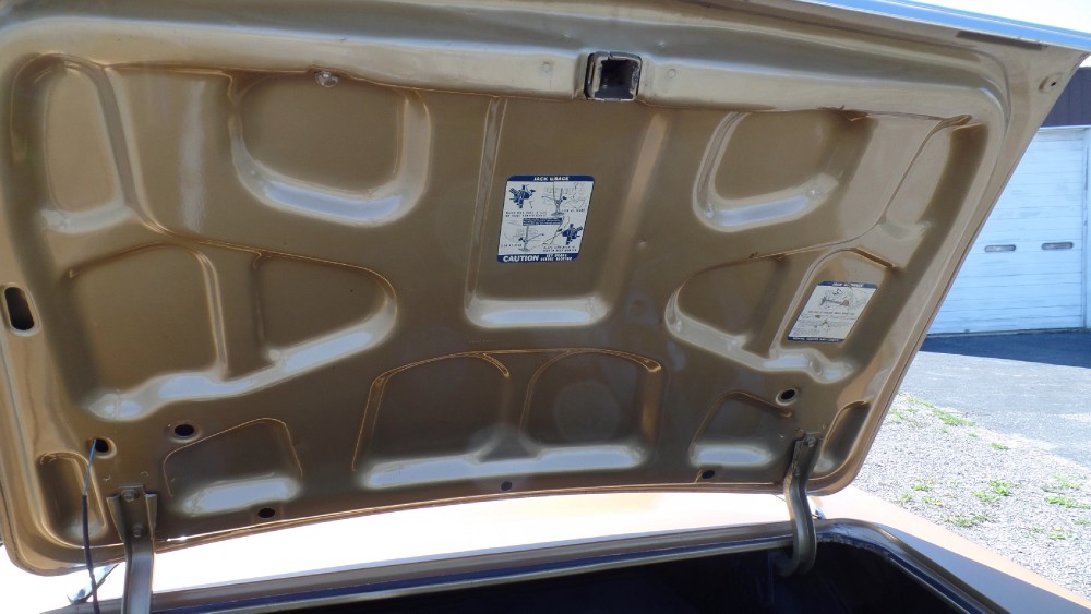 Used 1967 Pontiac Gto DOCUMENTED FROM DAY 1-ALL ORIGINAL-2 OWNER-SOUTHERN RUST FREE CAR-SEE VIDEO | Mundelein, IL