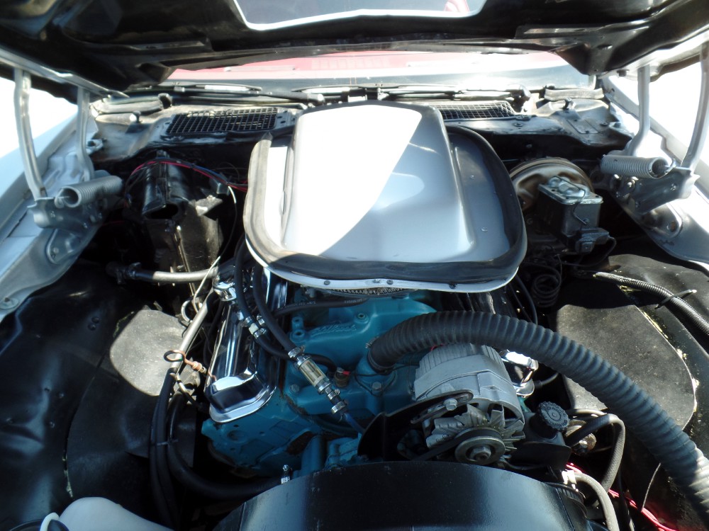 Used 1977 Pontiac Trans Am WS4 CODE-RUST FREE FROM TENNESSEE-VERY SOLID | Mundelein, IL
