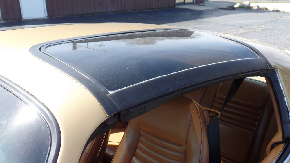 Used 1979 Pontiac Trans Am RUST FREE FROM VIRGINIA-SEE VIDEOS | Mundelein, IL