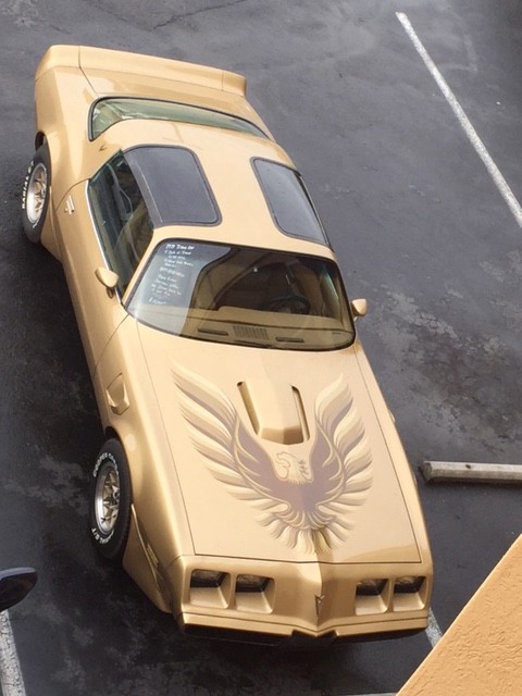 Used 1979 Pontiac Trans Am RUST FREE FROM VIRGINIA-SEE VIDEOS | Mundelein, IL