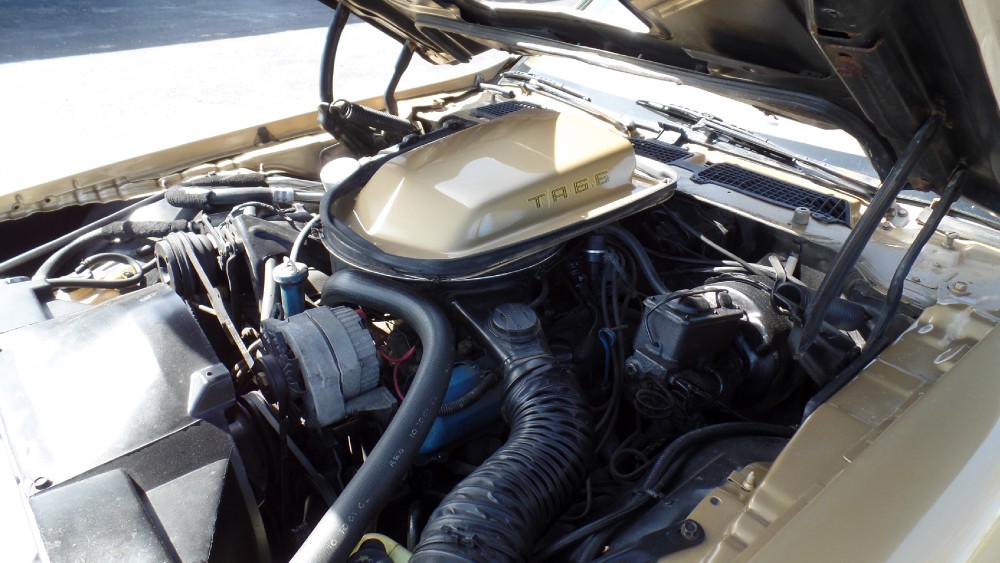Used 1979 Pontiac Trans Am RUST FREE FROM VIRGINIA-SEE VIDEOS | Mundelein, IL