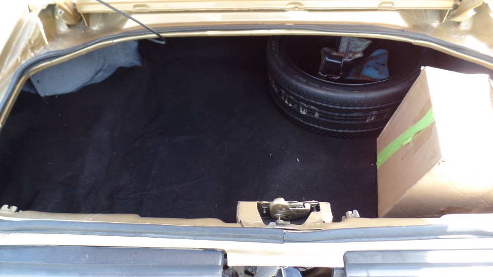 Used 1979 Pontiac Trans Am RUST FREE FROM VIRGINIA-SEE VIDEOS | Mundelein, IL