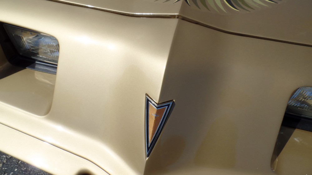 Used 1979 Pontiac Trans Am RUST FREE FROM VIRGINIA-SEE VIDEOS | Mundelein, IL
