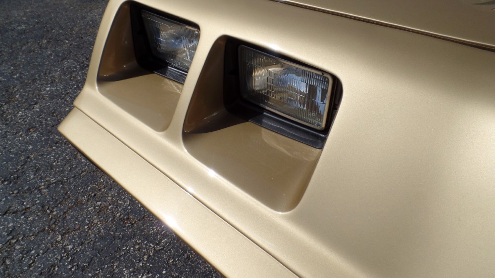 Used 1979 Pontiac Trans Am RUST FREE FROM VIRGINIA-SEE VIDEOS | Mundelein, IL