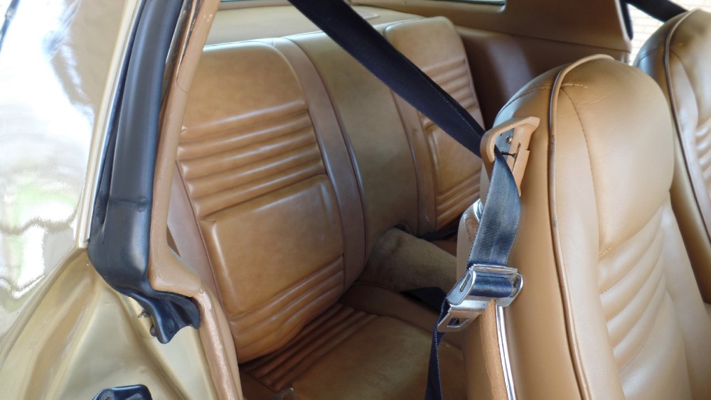 Used 1979 Pontiac Trans Am RUST FREE FROM VIRGINIA-SEE VIDEOS | Mundelein, IL