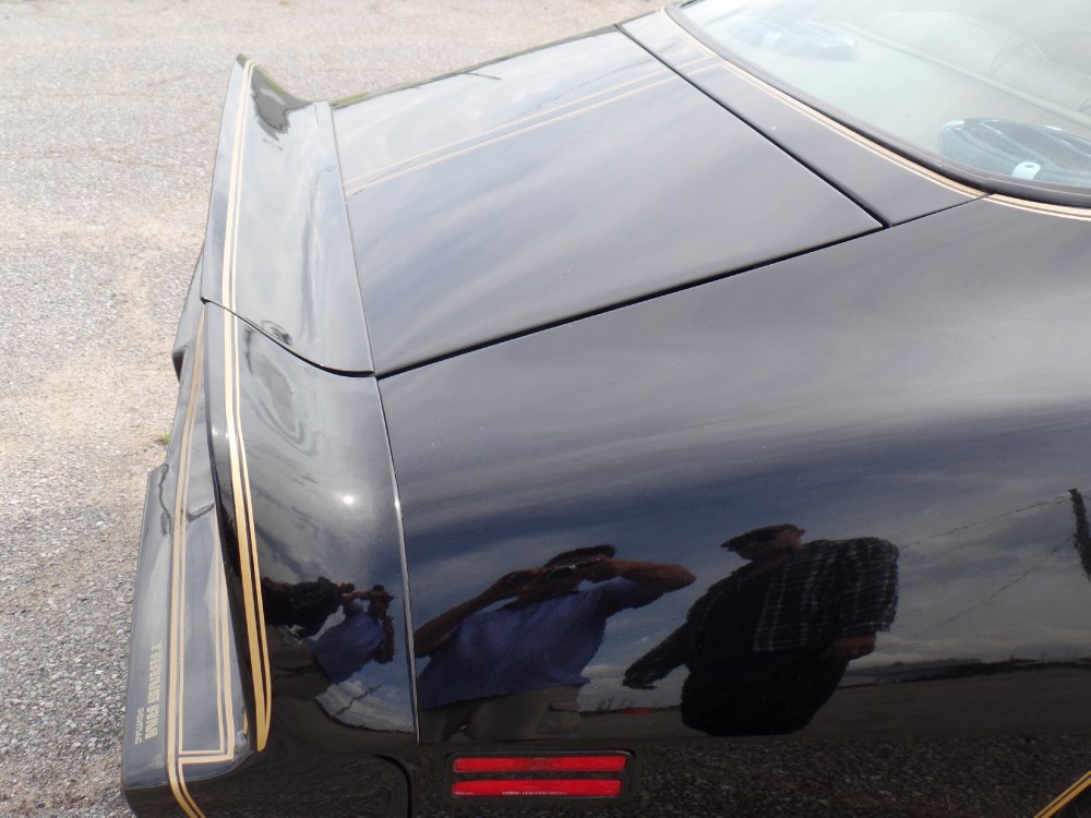 Used 1979 Pontiac Trans Am SE CODE Y84-REAL BLACK/GOLD-FROM GEORGIA-SEE VIDEO | Mundelein, IL