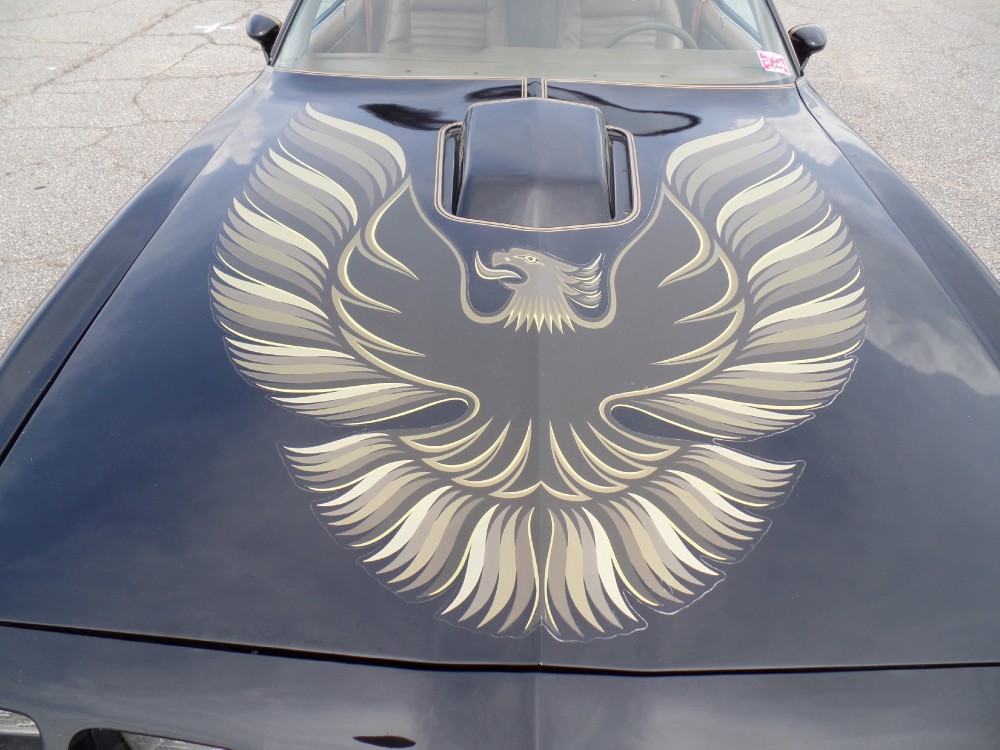 Used 1979 Pontiac Trans Am SE CODE Y84-REAL BLACK/GOLD-FROM GEORGIA-SEE VIDEO | Mundelein, IL