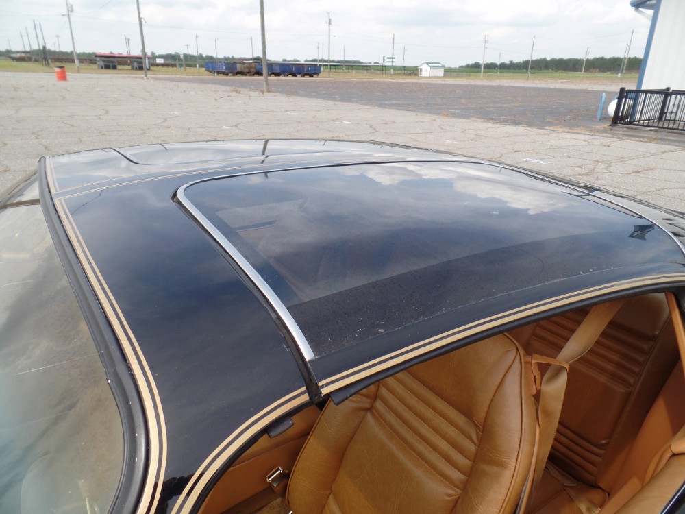 Used 1979 Pontiac Trans Am SE CODE Y84-REAL BLACK/GOLD-FROM GEORGIA-SEE VIDEO | Mundelein, IL