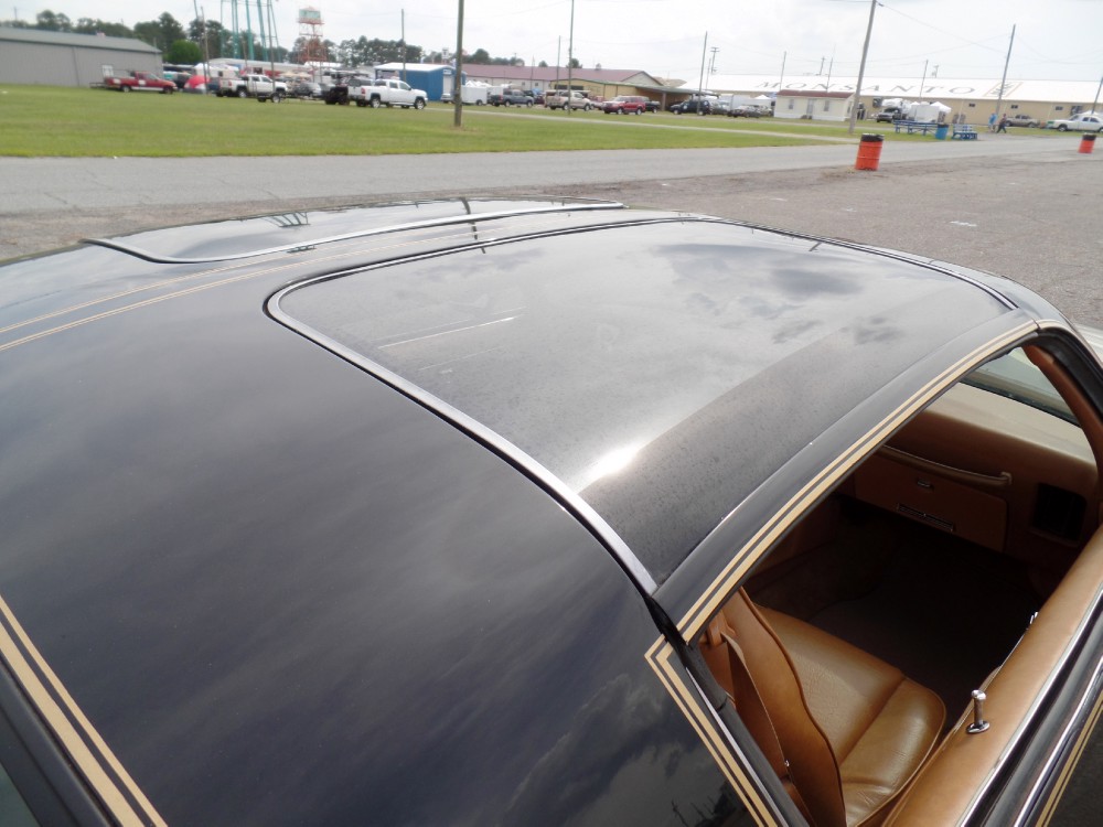 Used 1979 Pontiac Trans Am SE CODE Y84-REAL BLACK/GOLD-FROM GEORGIA-SEE VIDEO | Mundelein, IL