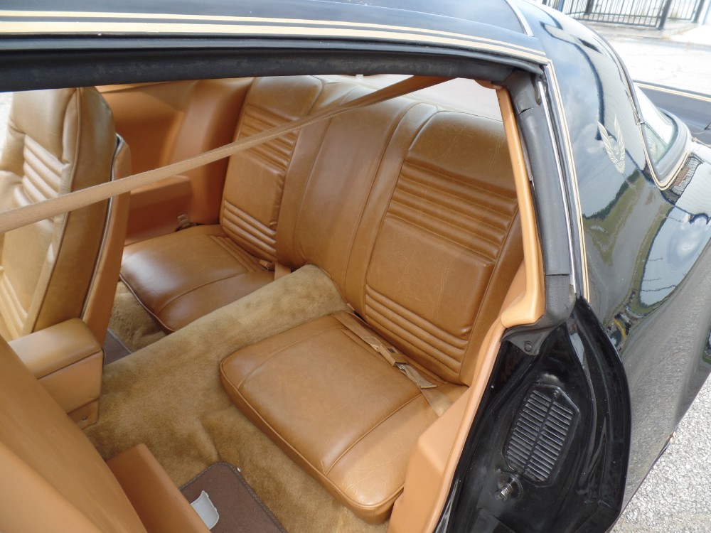 Used 1979 Pontiac Trans Am SE CODE Y84-REAL BLACK/GOLD-FROM GEORGIA-SEE VIDEO | Mundelein, IL