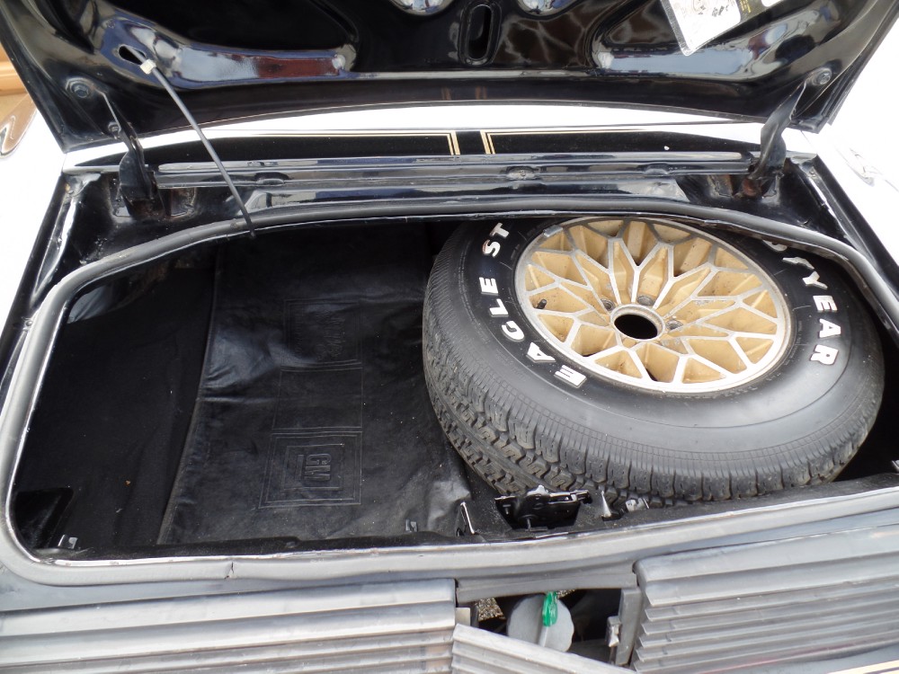 Used 1979 Pontiac Trans Am SE CODE Y84-REAL BLACK/GOLD-FROM GEORGIA-SEE VIDEO | Mundelein, IL