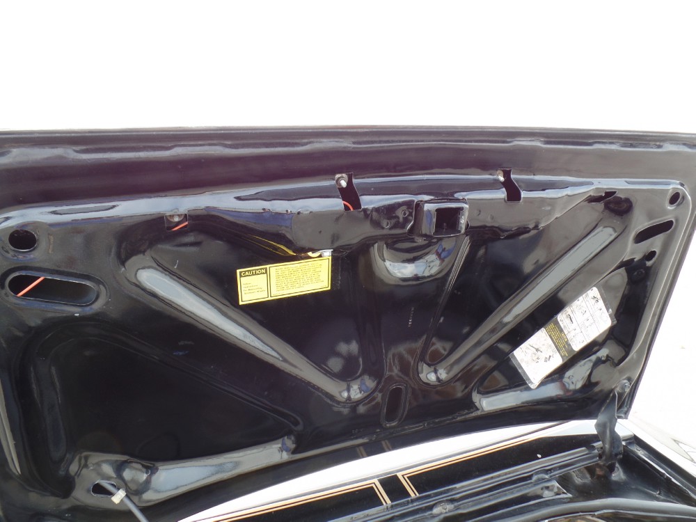 Used 1979 Pontiac Trans Am SE CODE Y84-REAL BLACK/GOLD-FROM GEORGIA-SEE VIDEO | Mundelein, IL