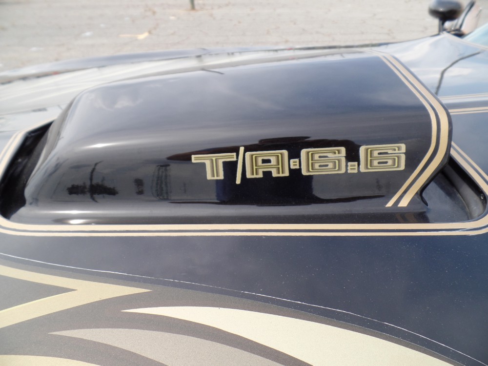 Used 1979 Pontiac Trans Am SE CODE Y84-REAL BLACK/GOLD-FROM GEORGIA-SEE VIDEO | Mundelein, IL