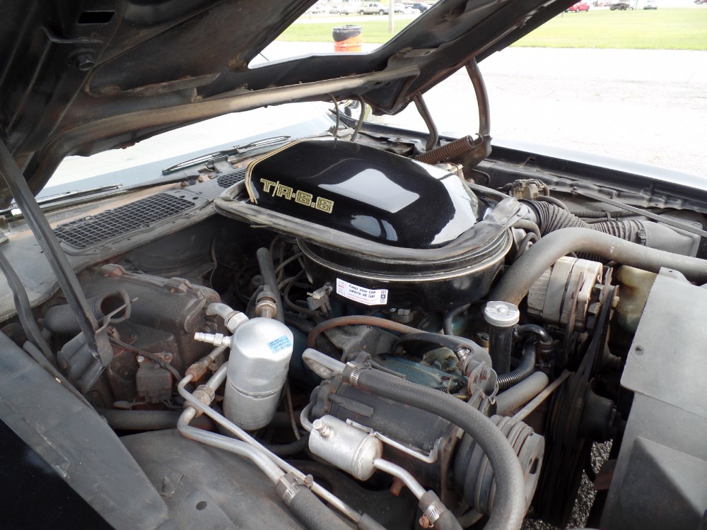 Used 1979 Pontiac Trans Am SE CODE Y84-REAL BLACK/GOLD-FROM GEORGIA-SEE VIDEO | Mundelein, IL