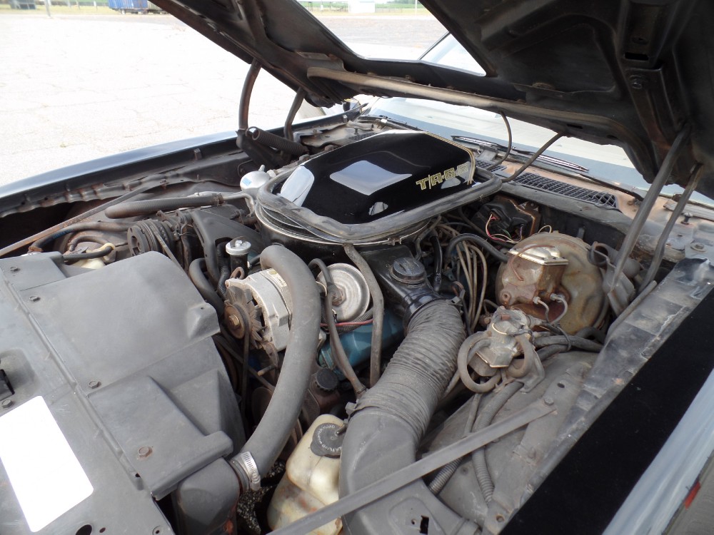 Used 1979 Pontiac Trans Am SE CODE Y84-REAL BLACK/GOLD-FROM GEORGIA-SEE VIDEO | Mundelein, IL