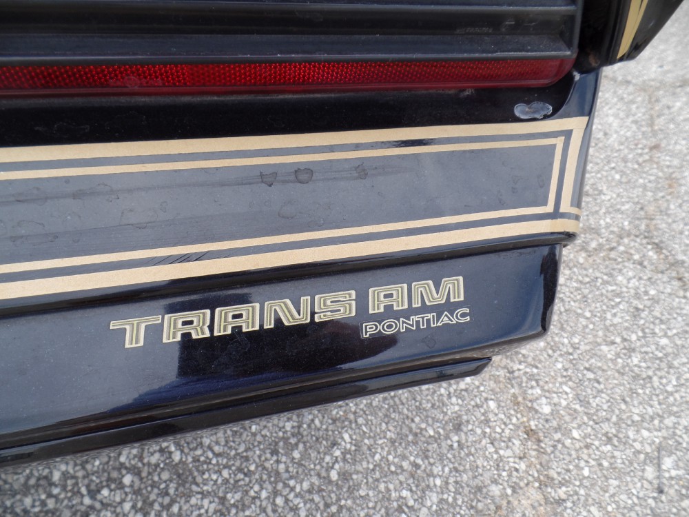 Used 1979 Pontiac Trans Am SE CODE Y84-REAL BLACK/GOLD-FROM GEORGIA-SEE VIDEO | Mundelein, IL