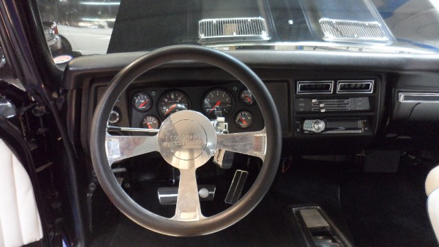 Used 1969 Chevrolet Chevelle PRO TOUR | Mundelein, IL